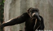 入市感悟4:股票的价格由什么决定
